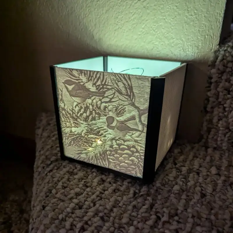 Square 3D printed artistic chickadee illumination with bird and branch designs, emitting soft glow on wooden surface