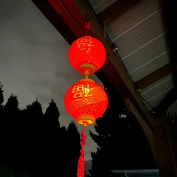 Close-up of 3D printed Fu lantern showing intricate patterns and traditional design, ideal for overseas B2B clients